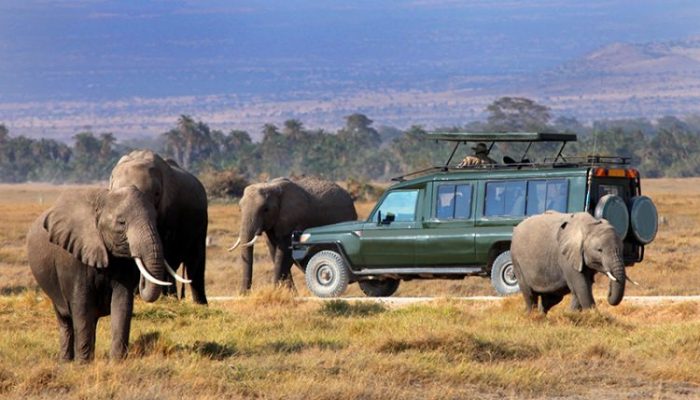 Maasai-Mara-kets1-6-750x450