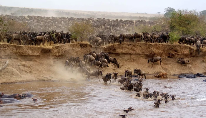 Masai-Mara-wildlife-reserve-1200x675