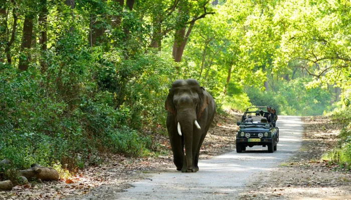 jim-corbett